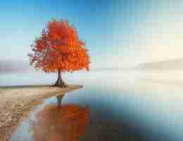 什‍么​叫﻿网‌页﻿快﻿照‍